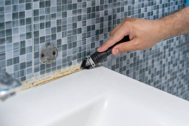 Best Professional Mold Removal  in Aventura, FL