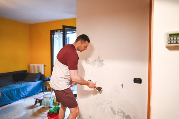 Best Water Damage Restoration  in Aventura, FL